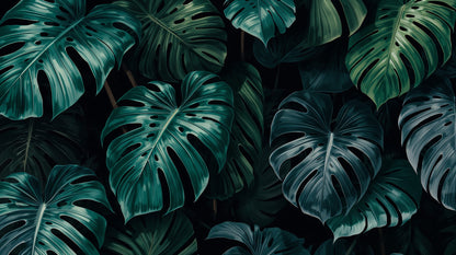 Moody refined Deep Teal monstera leaves featuring layered foliage - Wall Mural & Peel and Stick Wallpaper for Illustrated Interiors and Premium Home Styling