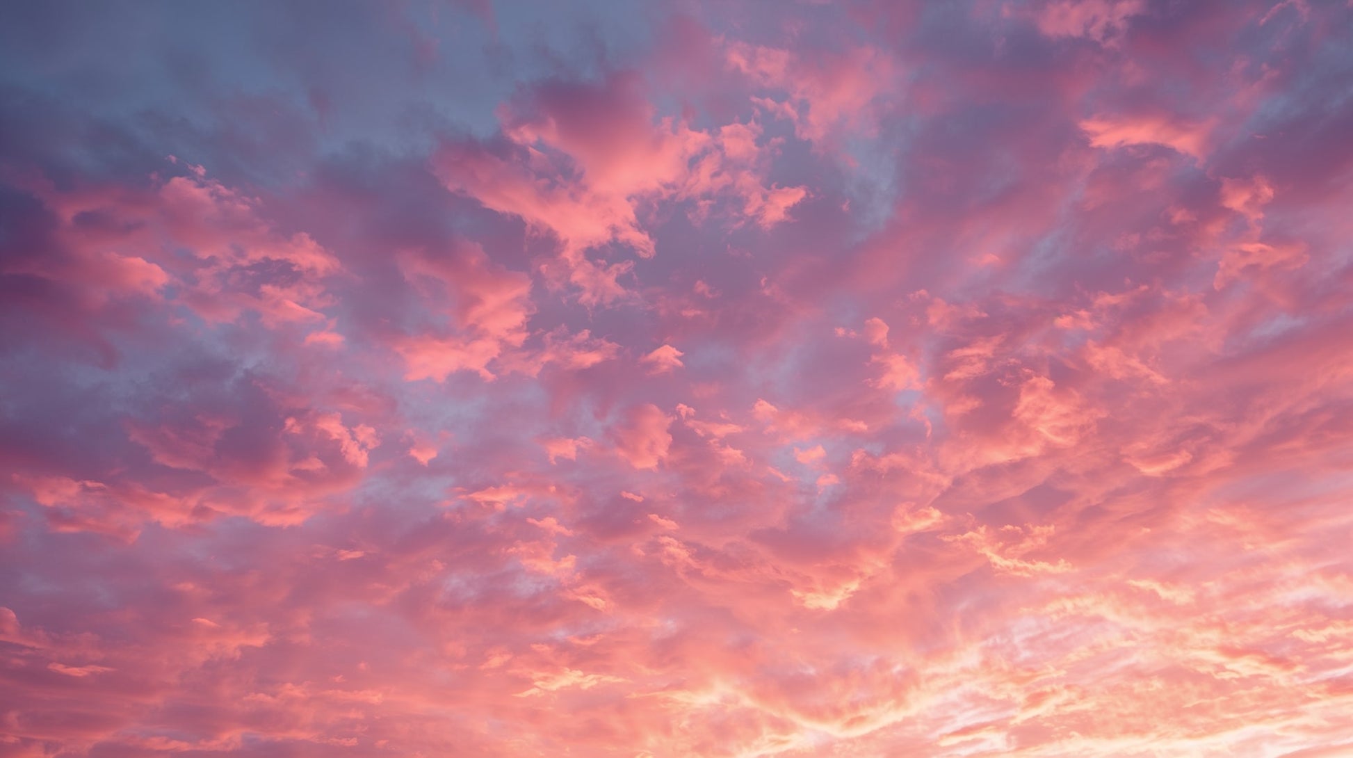 Dreamy airy Pink sunset cloudscape featuring a pink sky and soft clouds - Wall Mural & Peel and Stick Wallpaper for Minimalist Interiors and Premium Home Styling.