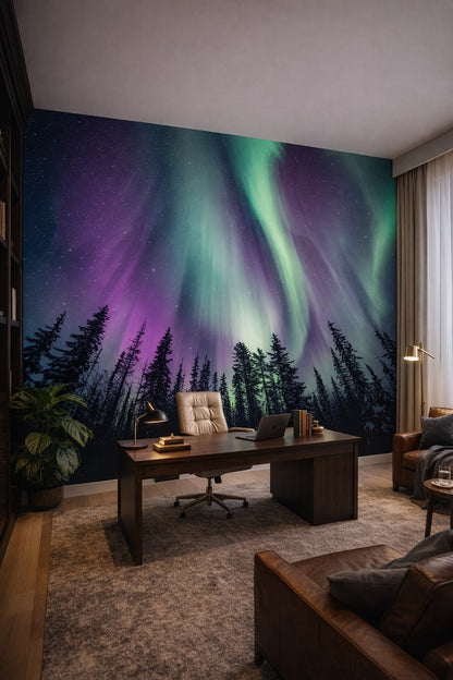 Contemporary neutral-accent northern lights featuring starry sky - Wall Mural Peel and Stick Wallpaper for Contemporary Executive Home Office.